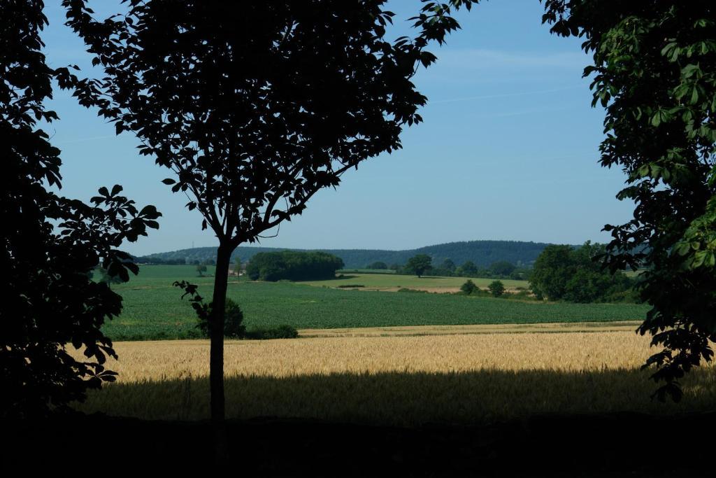 Chambres d'Hôtes - Domaine Des Perrières Crux-la-Ville Exterior foto