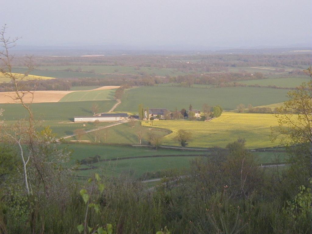 Chambres d'Hôtes - Domaine Des Perrières Crux-la-Ville Exterior foto